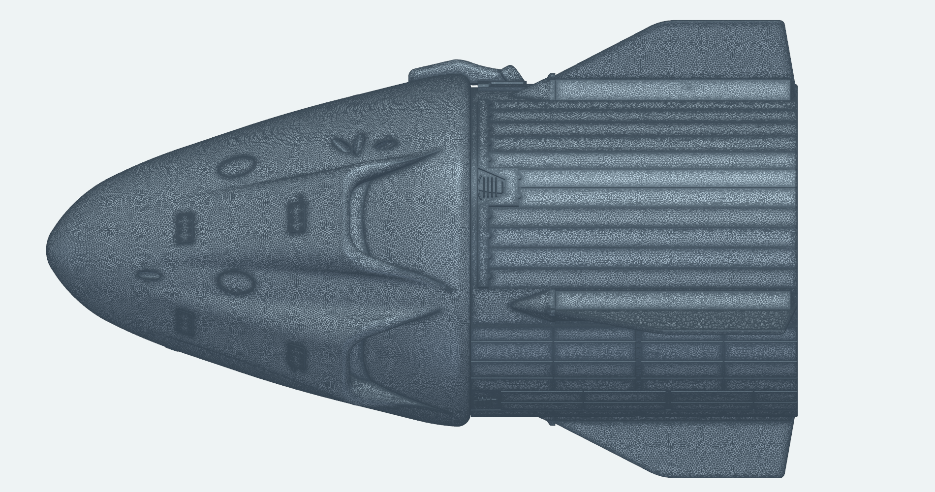 Side view of the capsule and trunk surface mesh