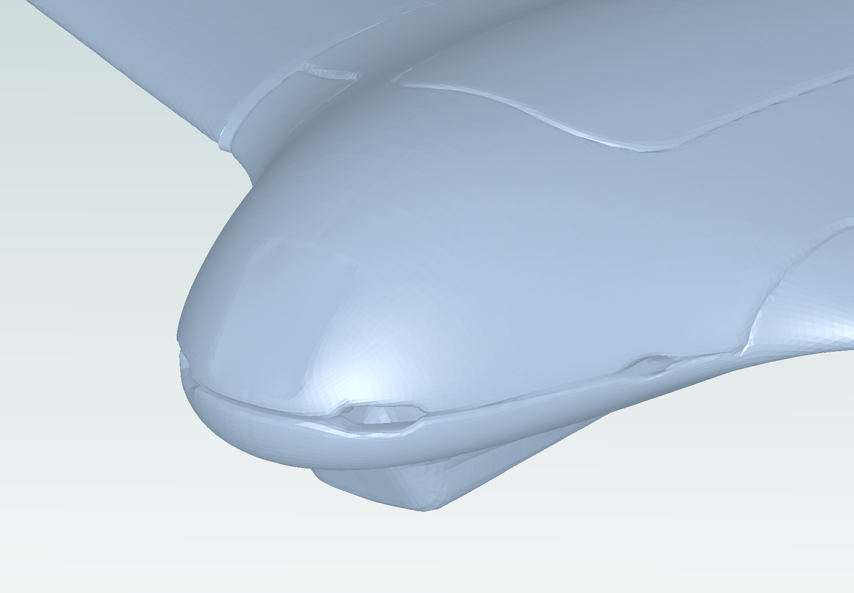 Hole at the scanned nose