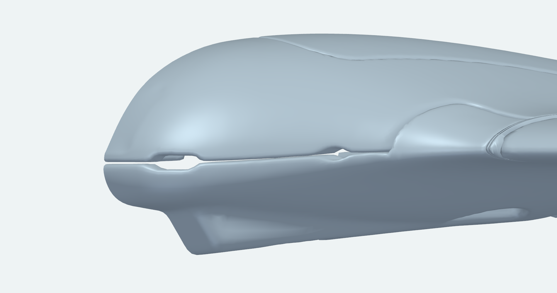 Original scan at the nose