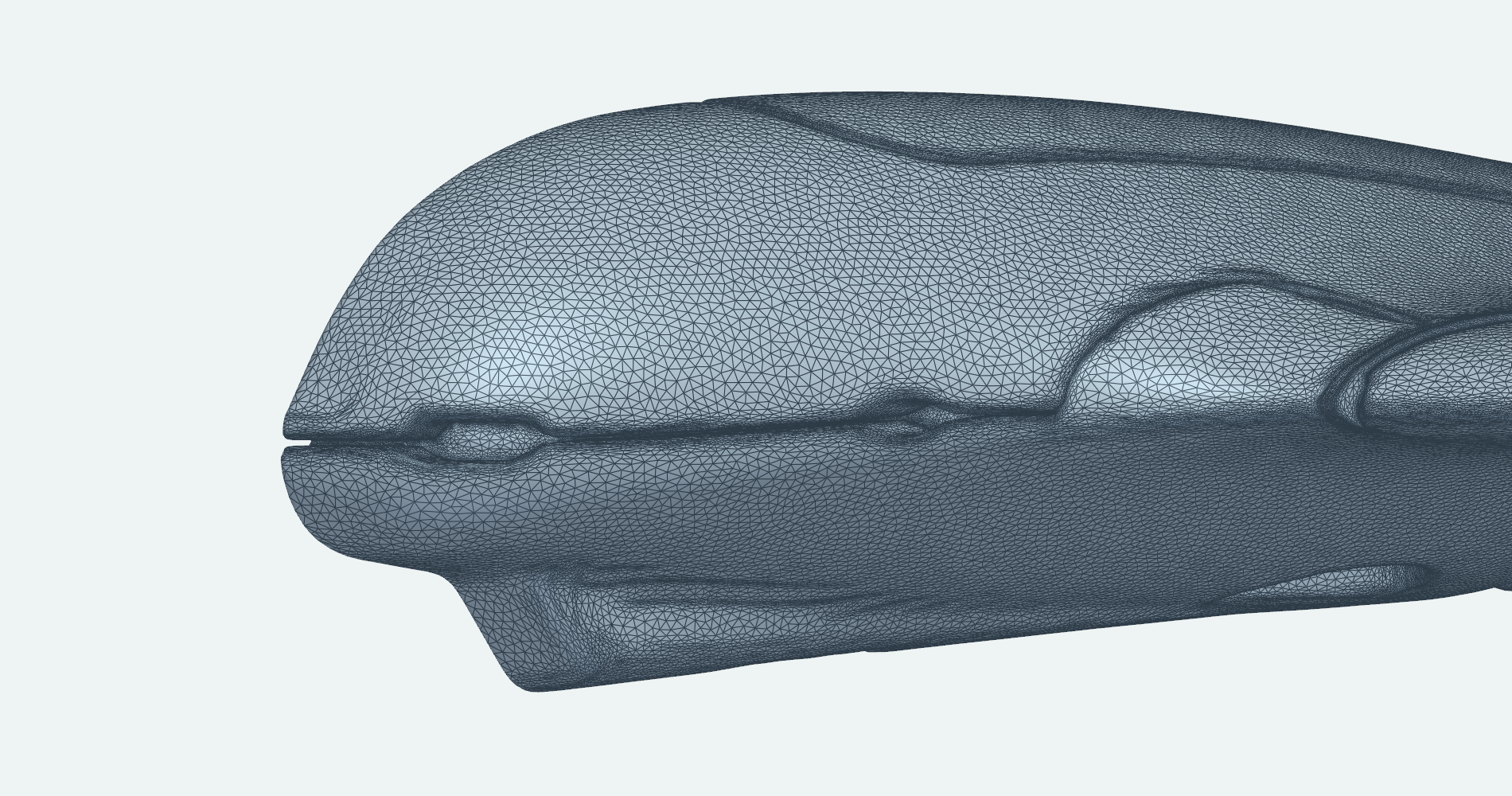 Reconstructed mesh at the nose